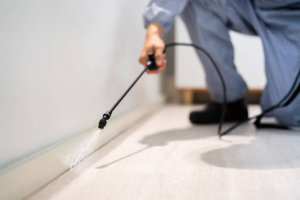 Bed Bug Pre-Treatment Preparation Assessment in Brackettville