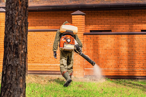Bed Bug Clearance Verification and Documentation in Brackettville